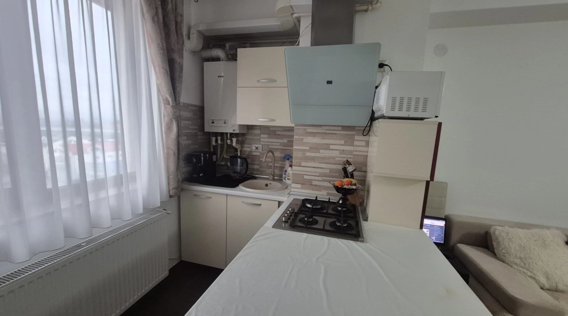 Oferta Pacurari apartament 45 mp , 2 camere, , de vanzare,   Petru Poni -Concept Residence imagine 8