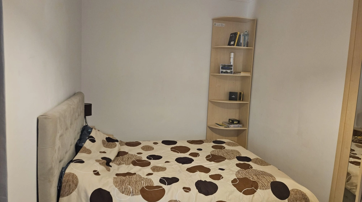 Oferta De vanzare apartament, 2 camere, nedecomandat, 50 mp , Alexandru cel Bun,  Liceul Miron Costin imagine 8