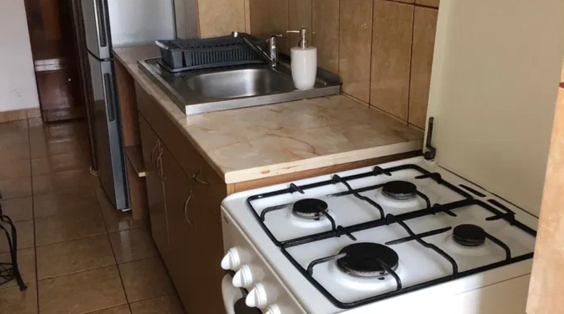 Oferta De inchiriat apartament, o camera, decomandat, 30 mp , Tudor Vladimirescu,  Gradinari imagine 3