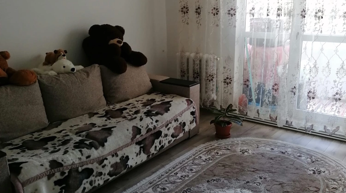 Oferta 3 camere, , 65 mp , de vanzare apartament in zona Central,  PALAS imagine 5