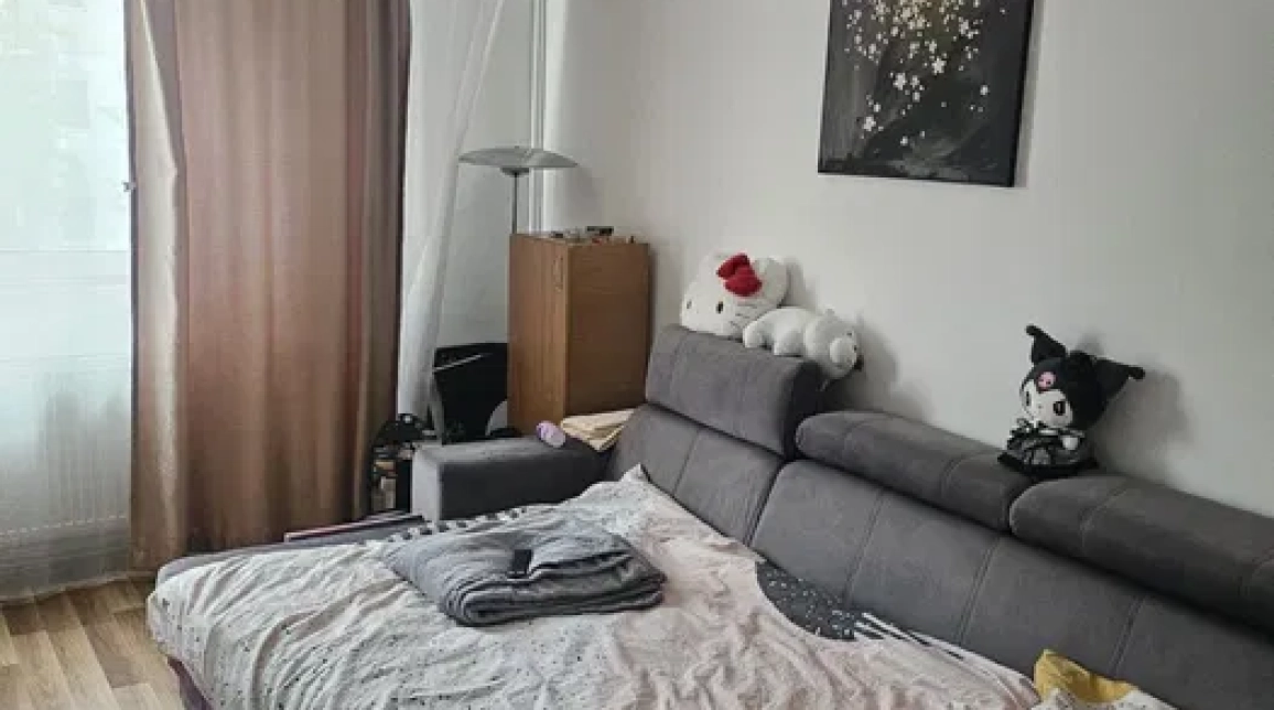 Oferta De inchiriat apartament, o camera, decomandat, 30 mp , Tudor Vladimirescu,  Gradinari imagine 1