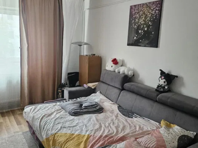 De inchiriat apartament, o camera,  decomandat ,  30 mp , Tudor Vladimirescu,  (Gradinari) 162947