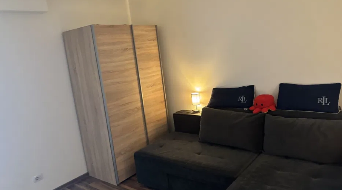 Oferta Apartament de vanzare, o camera, garsoniera, 27 mp , Centru,   Hala Centrala imagine 4