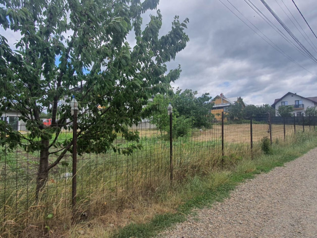 Teren  Valea Lupului str 1 decembrie 600mp  147460