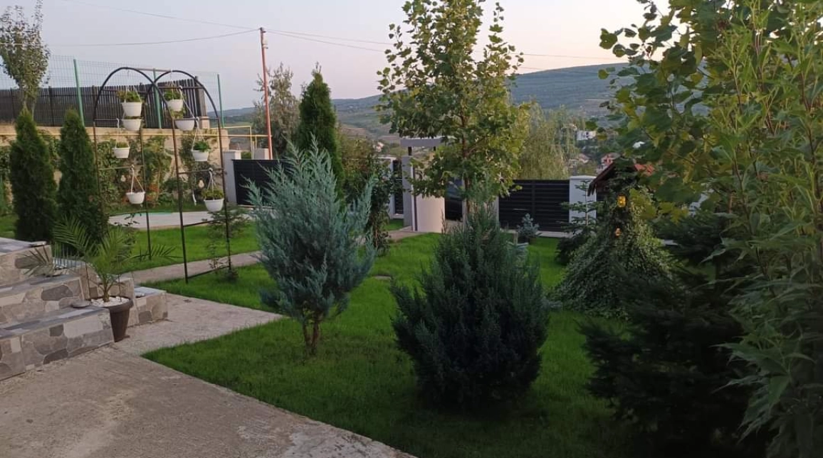 Oferta Casa, 3 camere, 92 mp , Tomesti, de vanzare,  Primarie imagine 5