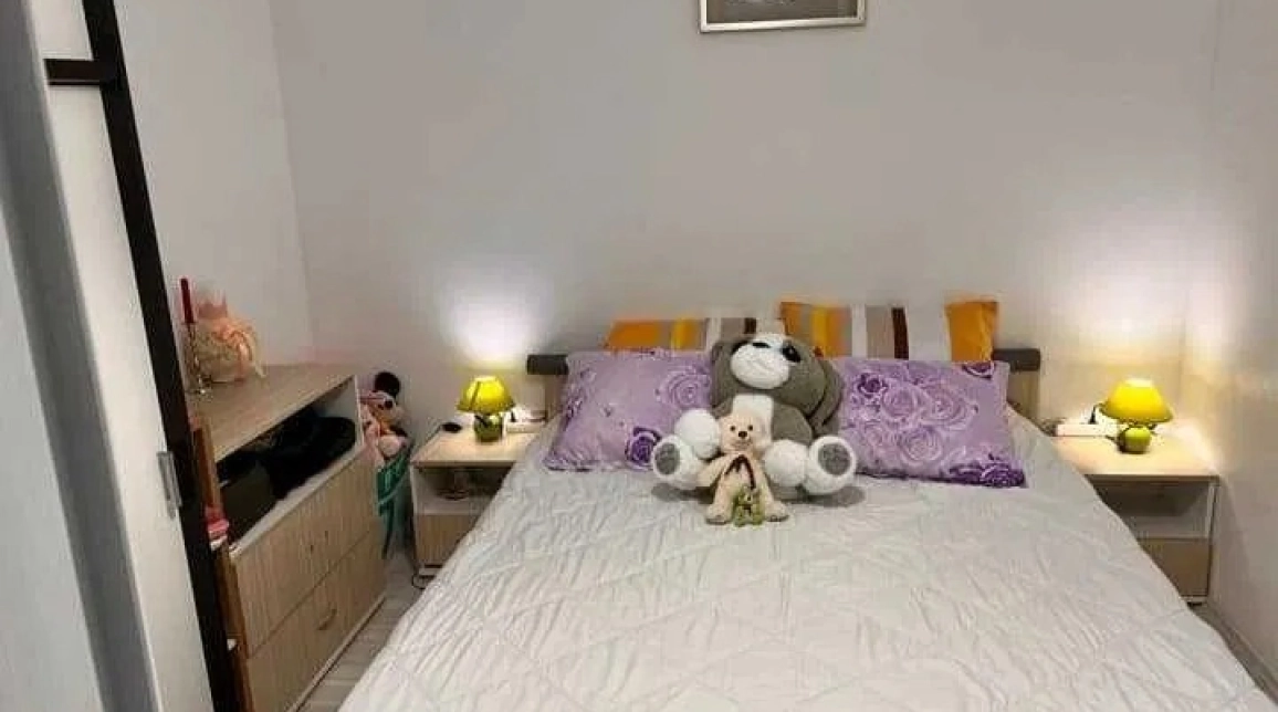Oferta Apartament, o camera, , 42 mp , Pacurari, de vanzare,  OMV, ROND TRAMVAI imagine 3