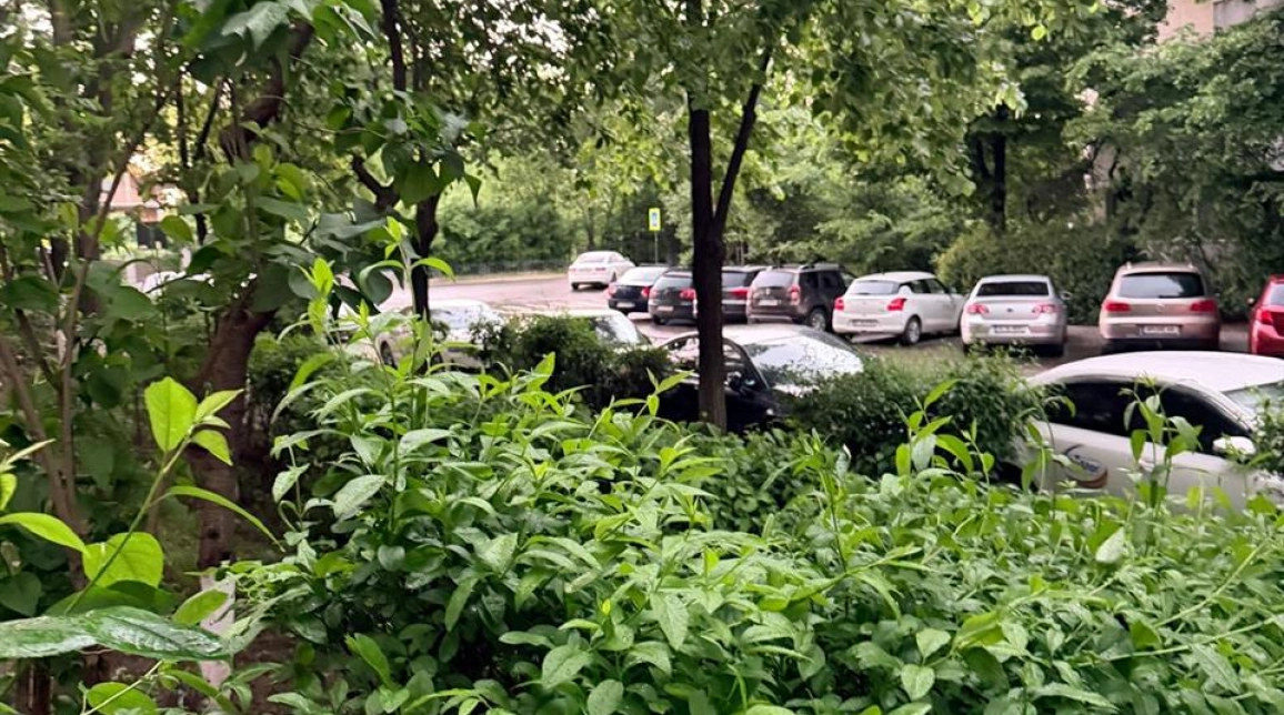 Oferta 2 camere, decomandat, 60 mp , de vanzare apartament in zona Nicolina,  Biserica Alba Cug imagine 9