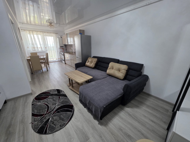 Apartament, 2 camere,   ,  52 mp , Copou, de inchiriat,  (Aleea Sadoveanu) 162336