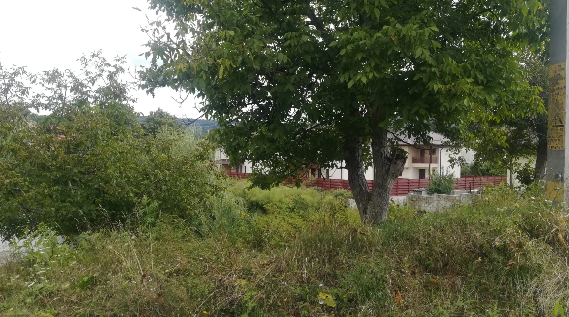 Oferta Teren Barnova la intrare in Barnova 880 mp  imagine 4