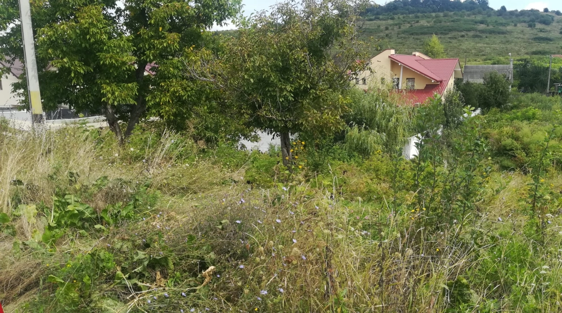 Oferta Teren Barnova la intrare in Barnova 880 mp  imagine 5