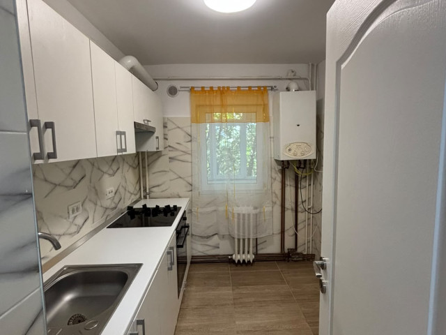 Apartament, 2 camere,  decomandat ,  45 mp , Podul de Fier, de inchiriat,  (Tg. Cucu) 162911