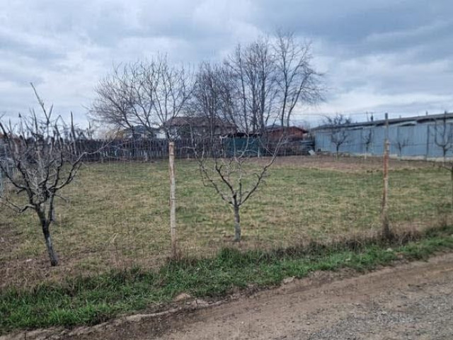 Teren  Valea Ursului La 50 m de strada principala 514mp  161965