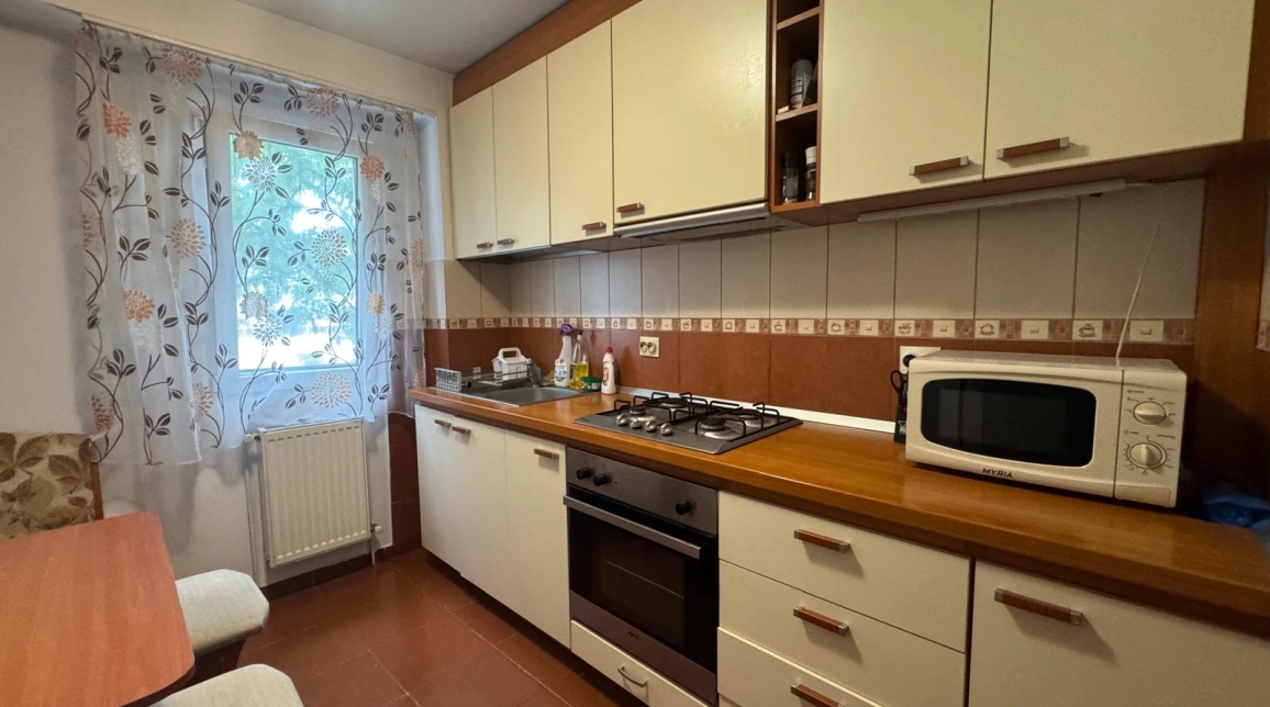Oferta De inchiriat apartament, 2 camere, semidecomandat, 54 mp , Podu Ros,  Sensul Giratoriu imagine 11