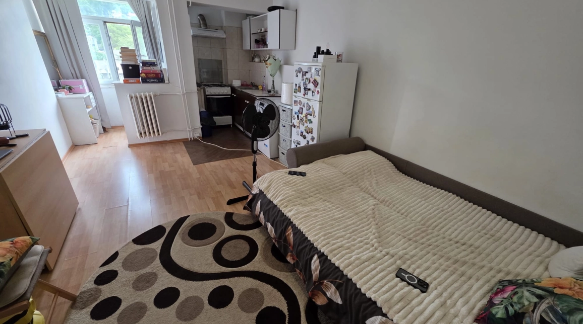 Oferta De vanzare apartament, o camera, garsoniera, 24 mp , Galata,  Lidl imagine 4