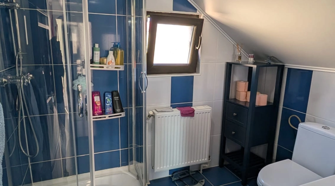 Oferta Casa, 4 camere, 105 mp , Lunca Cetatuii, de vanzare,  dupa profi imagine 18
