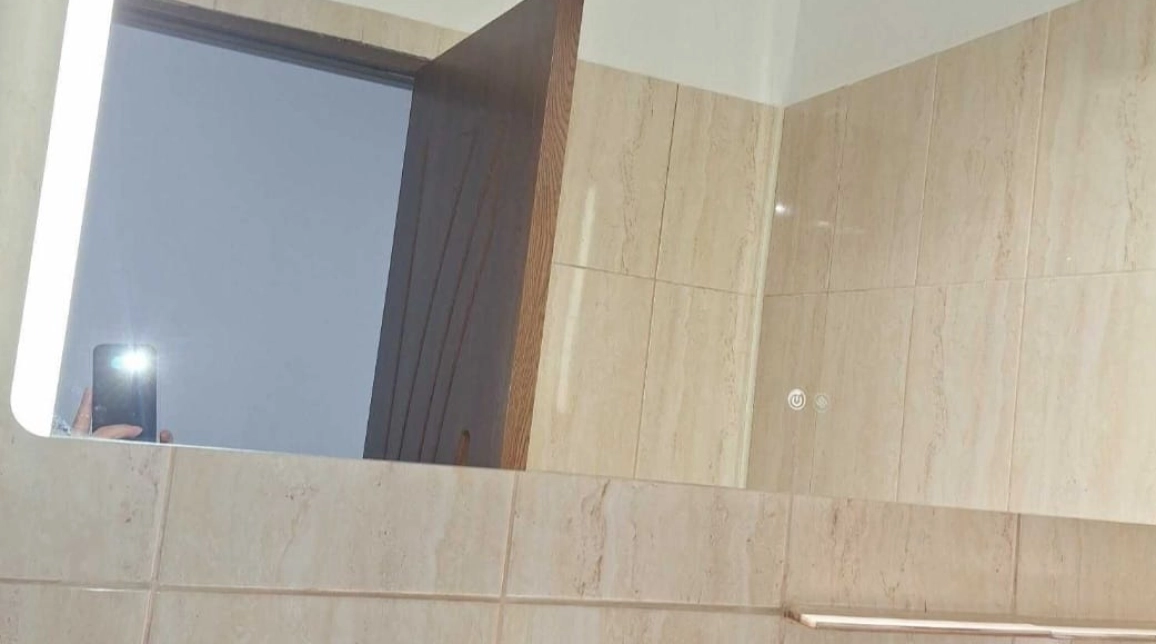 Oferta 3 camere, nedecomandat, 46 mp , de vanzare apartament in zona Alexandru cel Bun,  Liceul Miron Costin imagine 3