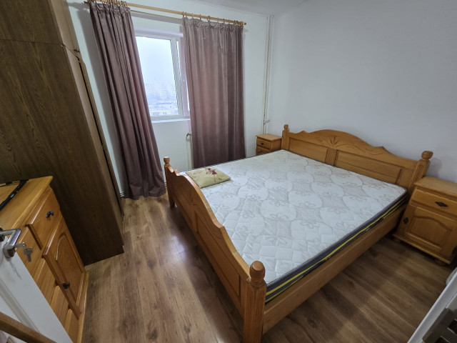 Apartament, 2 camere,  decomandat ,  50 mp , Alexandru cel Bun, de inchiriat,  (Profi) 160771