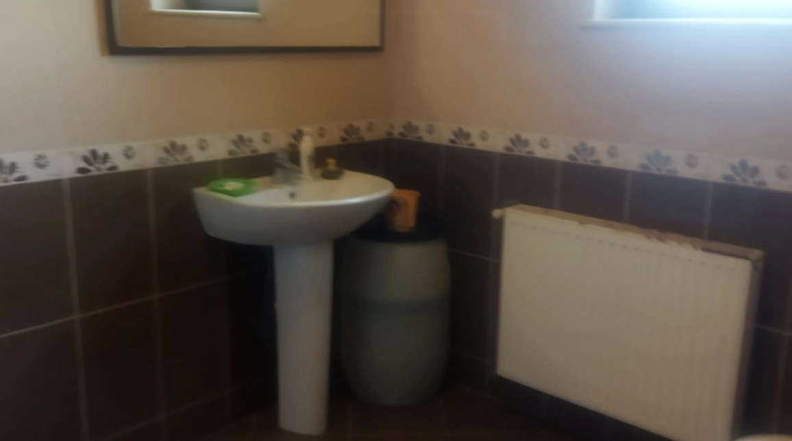Oferta De vanzare casa, 9 camere, 400 mp , Bucium,  dupa scoala Veronica Micle imagine 5
