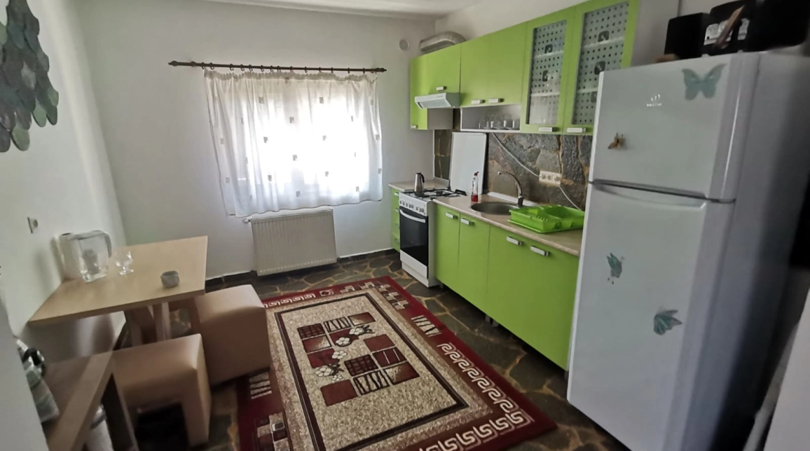 Oferta 7 camere, 320 mp , de vanzare casa in zona Bucium,  Pensiunea Shamroch INN imagine 3