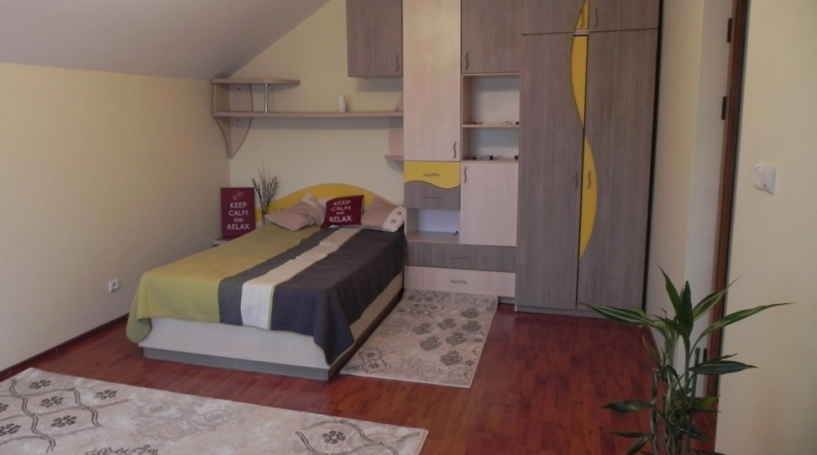 Oferta Pacurari casa 200 mp , 4 camere, de vanzare,  str Culianu imagine 16