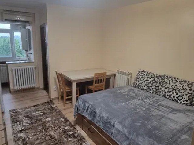 De inchiriat apartament, o camera,  garsoniera ,  24 mp , Galata,  (Penny) 162757
