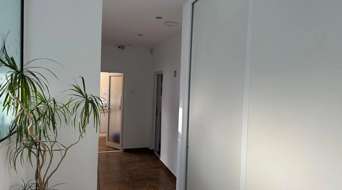 Oferta Spatiu comercial Podu Ros dupa pasapoarte 70mp  imagine 8