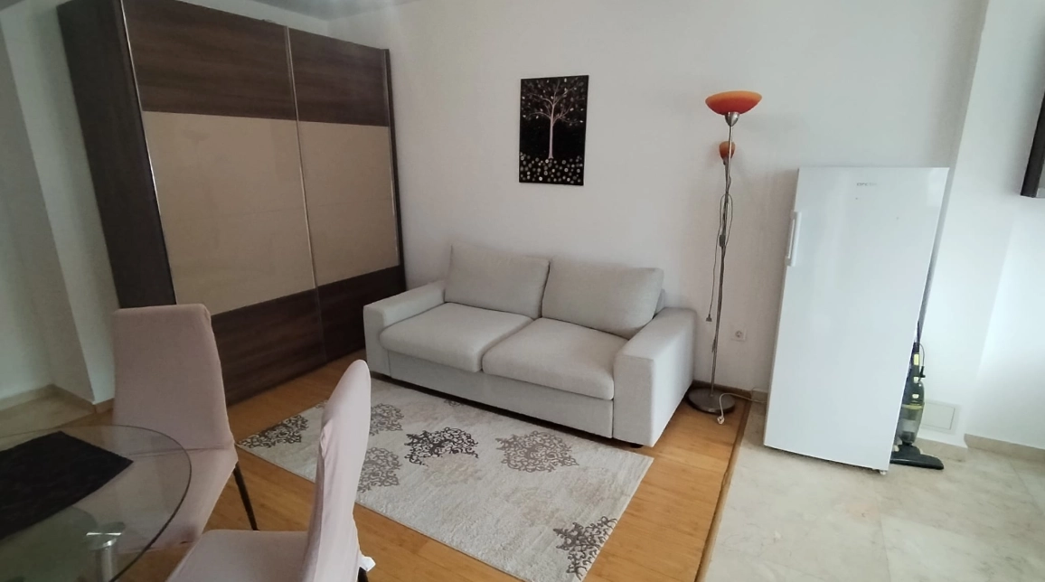 Oferta De inchiriat apartament, o camera, , 25 mp , Copou,  Exclusive Residence / Stadionul Municipal imagine 1