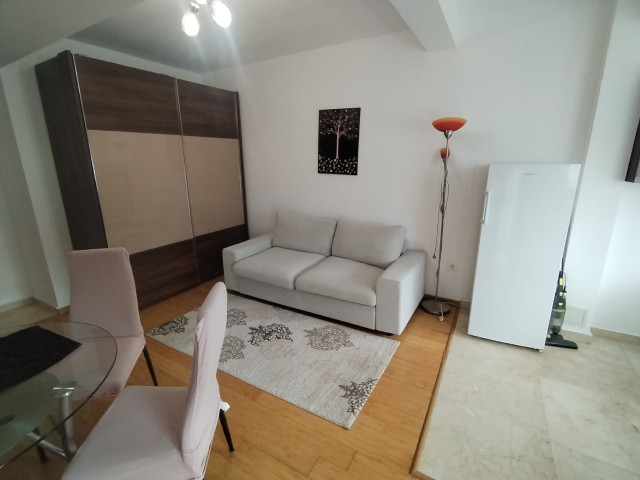 De inchiriat apartament, o camera,   ,  25 mp , Copou,  (Exclusive Residence / Stadionul Municipal) 163012