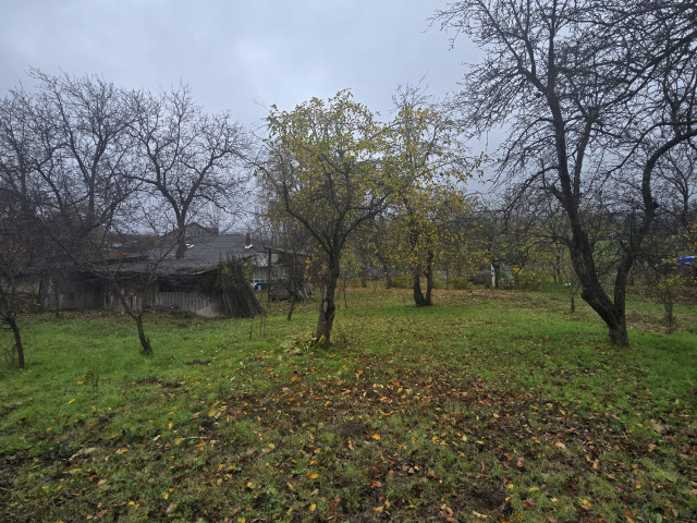 Teren  Tomesti Biserica 500mp  160514