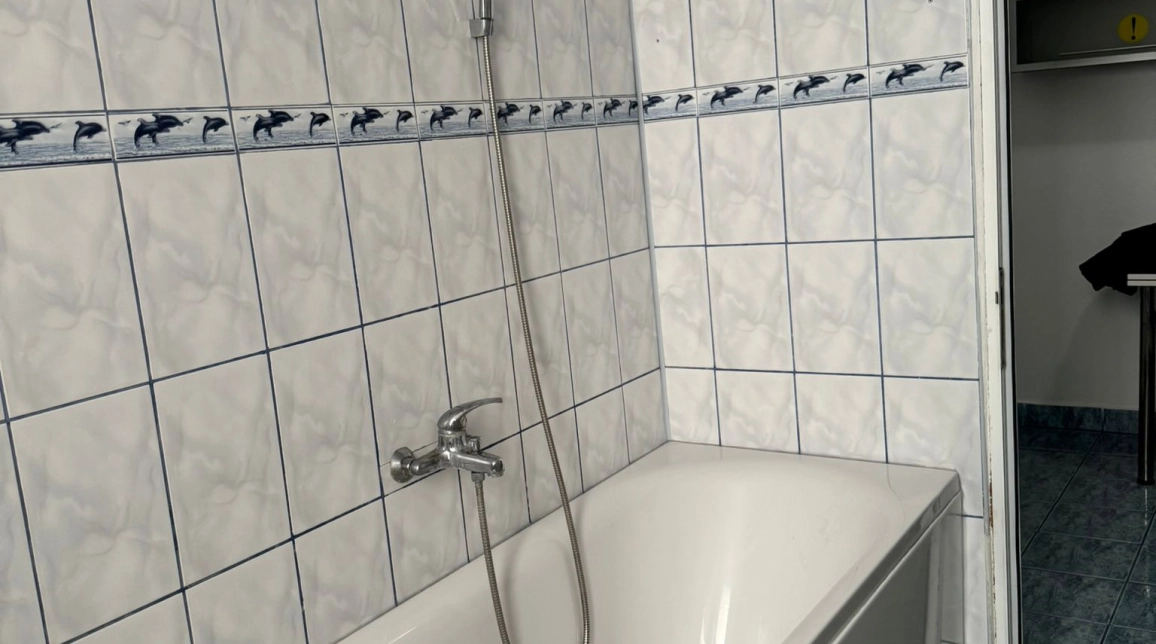 Oferta Apartament, 2 camere, decomandat, 50 mp , Centru, de inchiriat,  Piata Unirii imagine 8