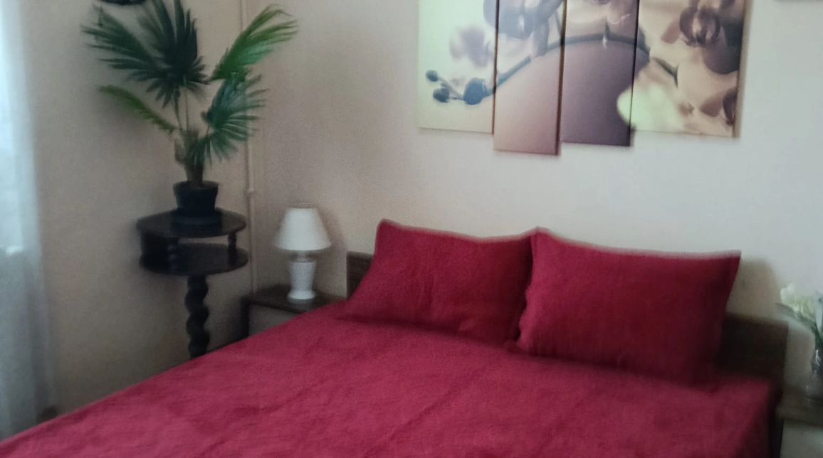 Oferta De vanzare apartament, 2 camere, semidecomandat, 52 mp , Podu Ros,  Splai Bahlui Facultati imagine 2