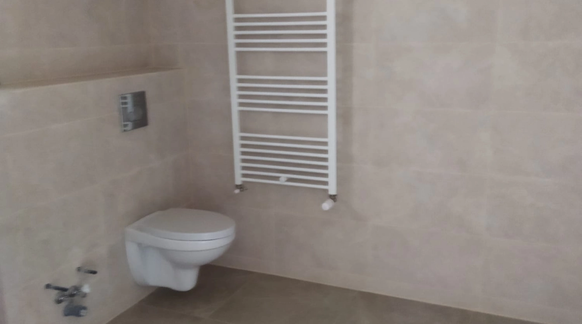 Oferta De vanzare casa, 5 camere, 110 mp , Valea Lupului,  dupa antibiotice imagine 4