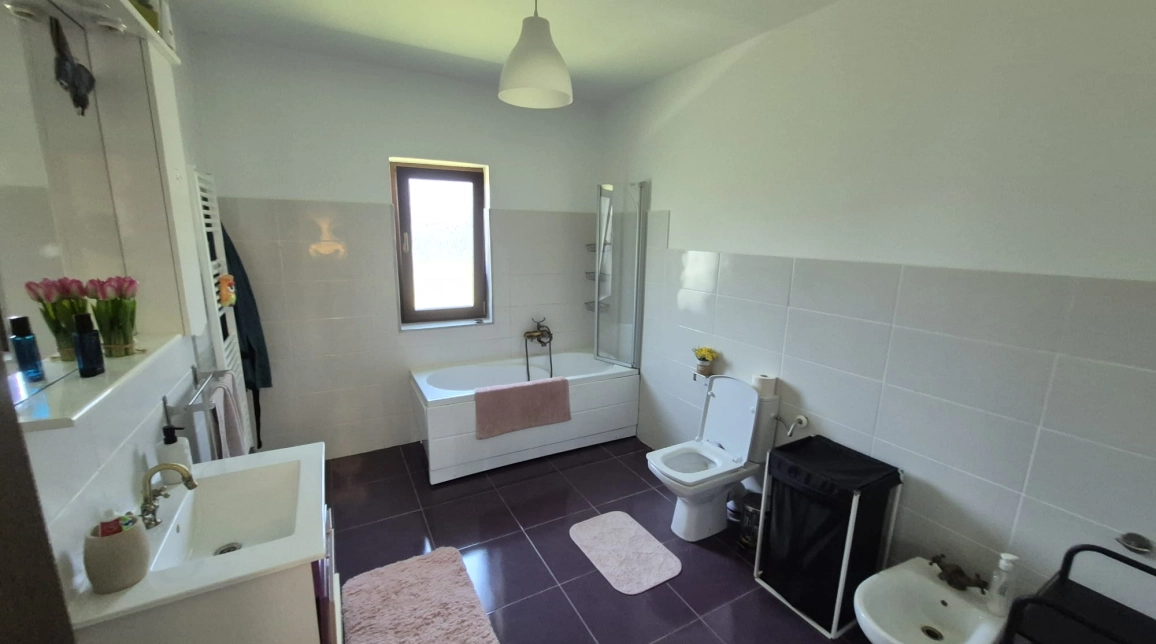 Oferta Casa, 5 camere, 148 mp , Miroslava, de vanzare,   Valea Adanca -5 drumuri imagine 12