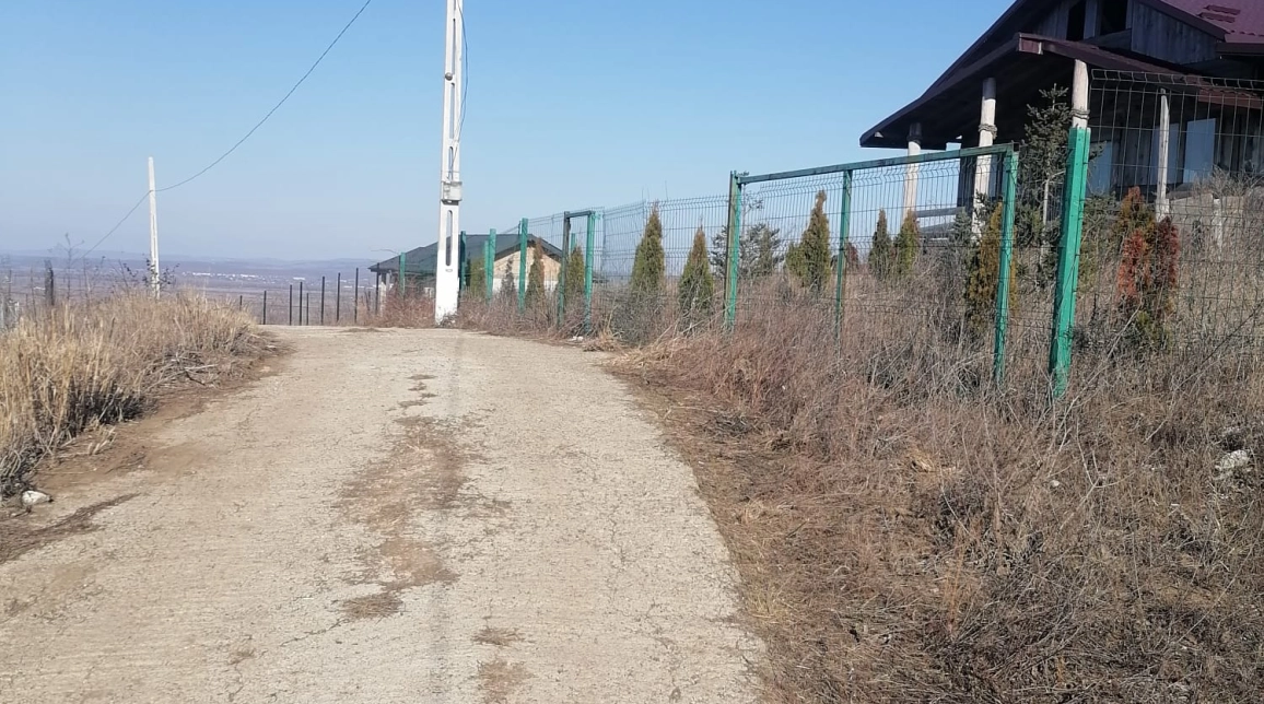 Oferta Teren Tomesti dupa Podul Vatafului 664 mp  imagine 2