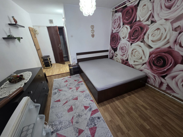 Apartament de inchiriat, o camera,  garsoniera ,  24 mp , Alexandru cel Bun,  (Zimbru) 162320