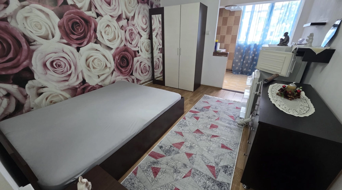 Oferta Apartament de inchiriat, o camera, garsoniera, 24 mp , Alexandru cel Bun,  Zimbru imagine 2