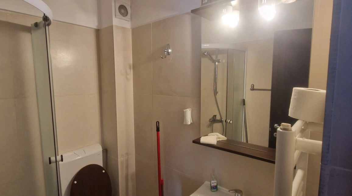 Oferta O camera, garsoniera, 40 mp , de inchiriat apartament in zona Central,  Palatul Culturii imagine 6