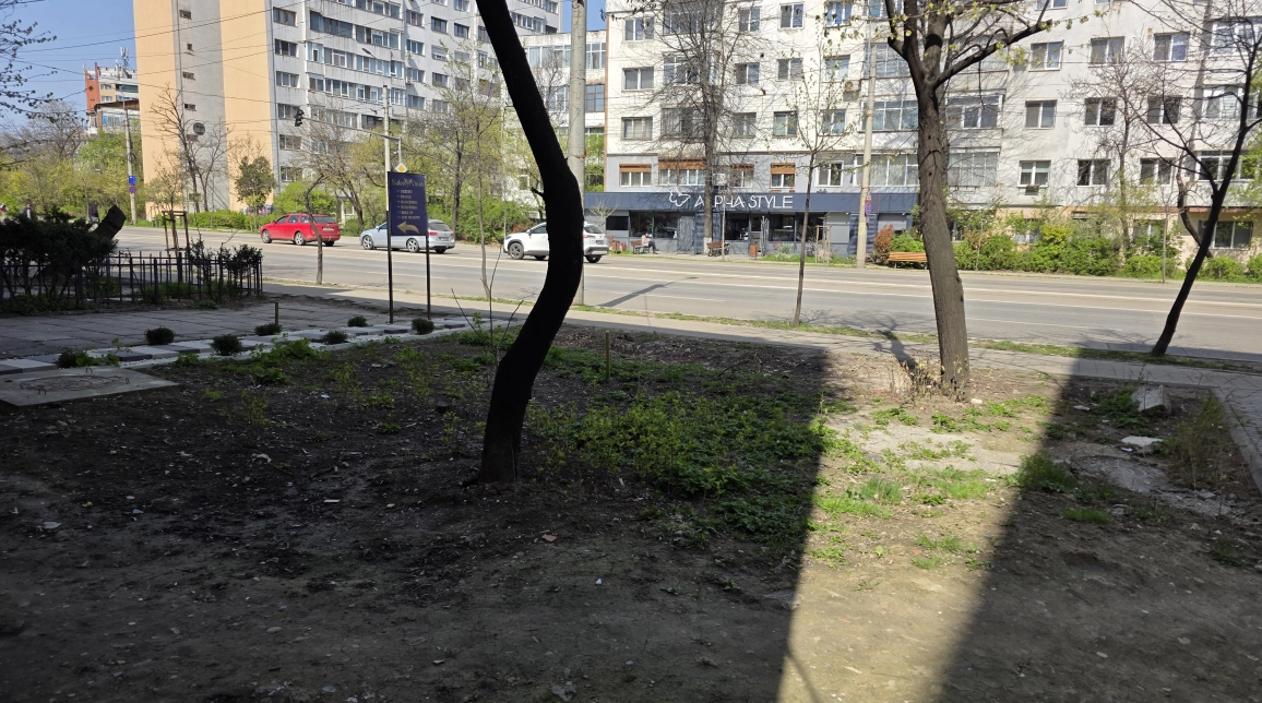 Oferta Spatiu comercial Podu Ros - Piata Nicolina  97mp  imagine 5