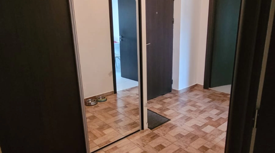 Oferta Apartament nou, 2 camere, decomandat, 55 mp , Popas Pacurari, de vanzare,  Mega Image- Soleia imagine 9