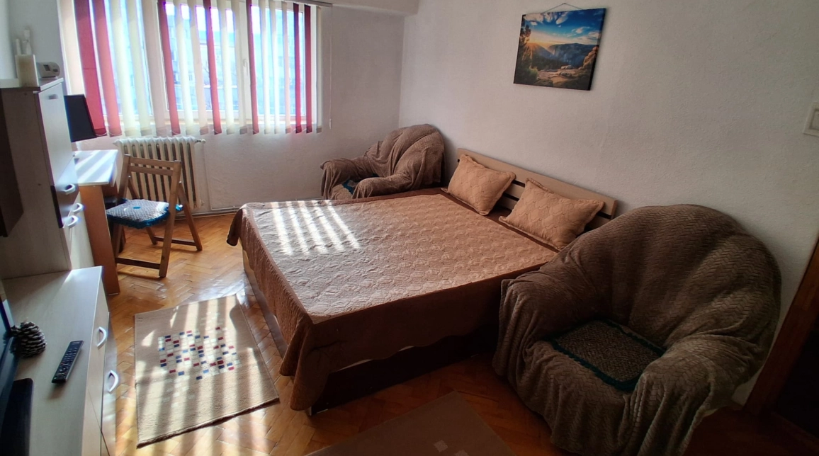 Oferta Apartament de inchiriat, 2 camere, decomandat, 56 mp , Pacurari,  Mega Image  imagine 3