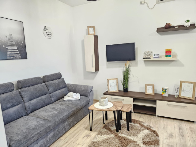 Pacurari apartament  50 mp , 2 camere,   , de inchiriat,  (Petru Poni) 162524