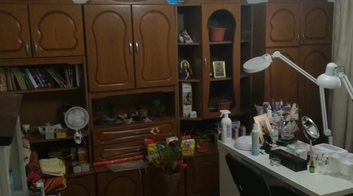 Oferta 4 camere, 100 mp , de vanzare casa in zona Valea Lupului,  satul vechi  Valea Lupului imagine 11