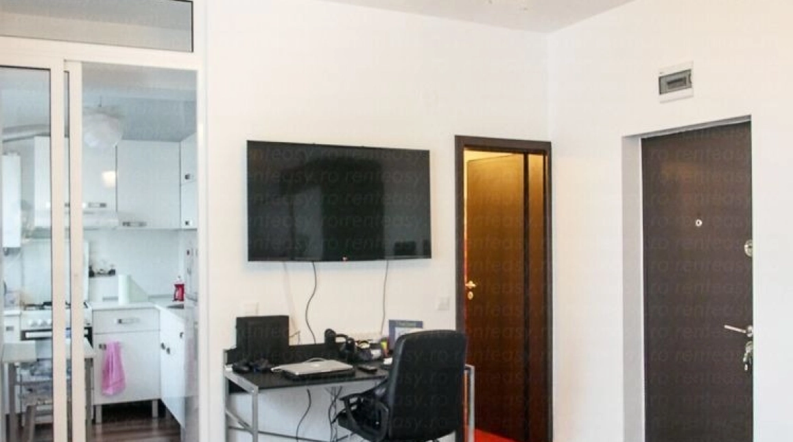 Oferta Apartament, o camera, semidecomandat, 28 mp , Centru, de vanzare,  Palas imagine 3