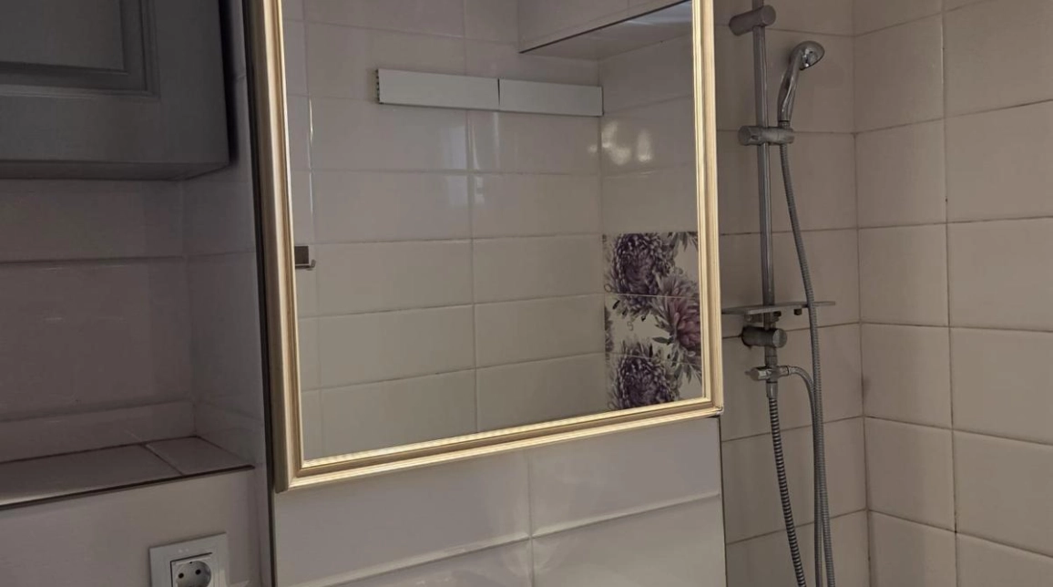 Oferta Apartament de vanzare, 3 camere, decomandat, 83 mp , Nicolina,  Prima Statie-Panasonic imagine 13