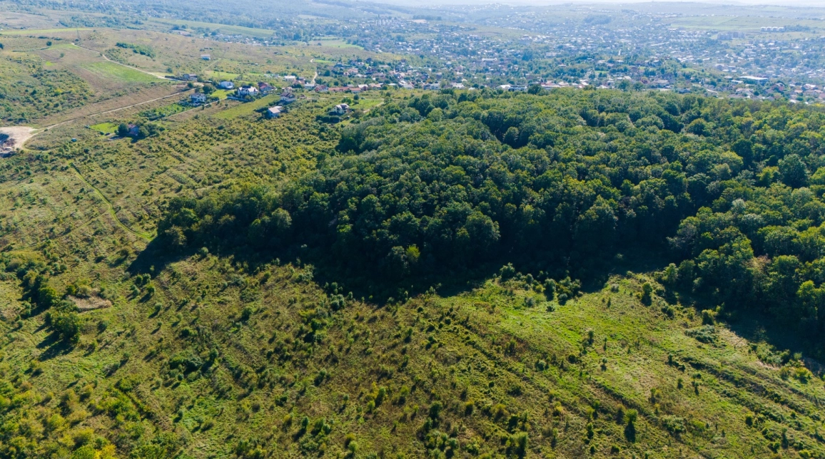 Oferta Teren Bucium la 1.5 km in Soseaua Bucium - Plopii fara Sot 113783 mp  imagine 6
