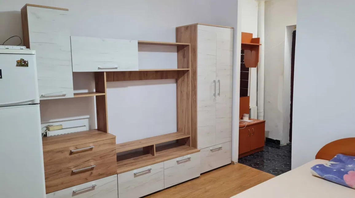 Oferta O camera, garsoniera, 24 mp , de vanzare apartament in zona Tudor Vladimirescu,  Iulius Mall - Campus Tudor Vladimirescu imagine 2