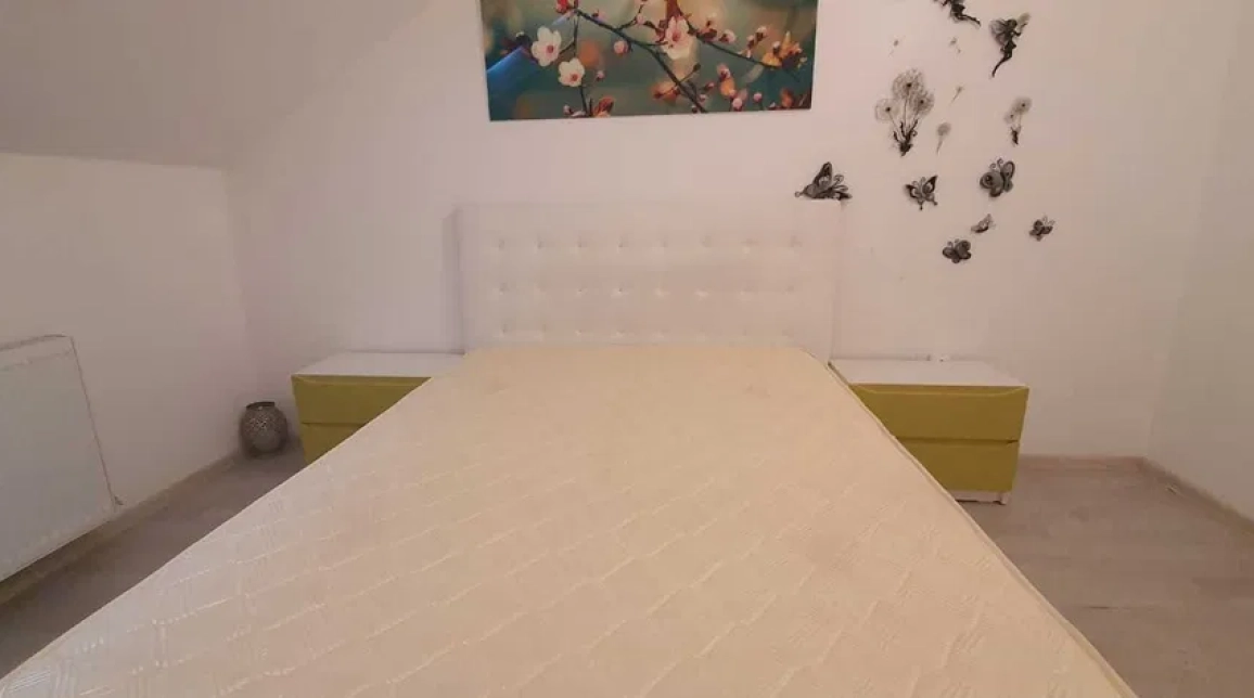 Oferta Apartament, 2 camere, , 46 mp , Centru Civic, de vanzare,  PALAS MALL imagine 5