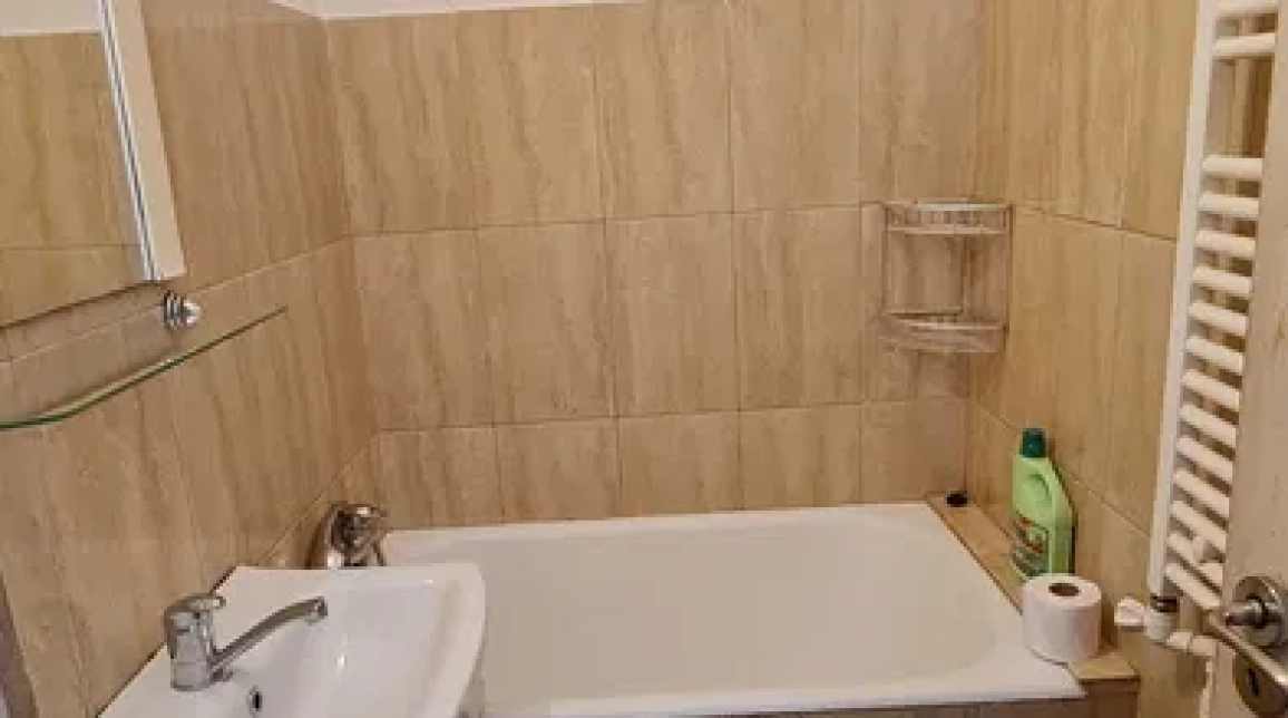 Oferta O camera, garsoniera, 24 mp , de vanzare apartament in zona Tudor Vladimirescu,  Iulius Mall - Campus Tudor Vladimirescu imagine 4