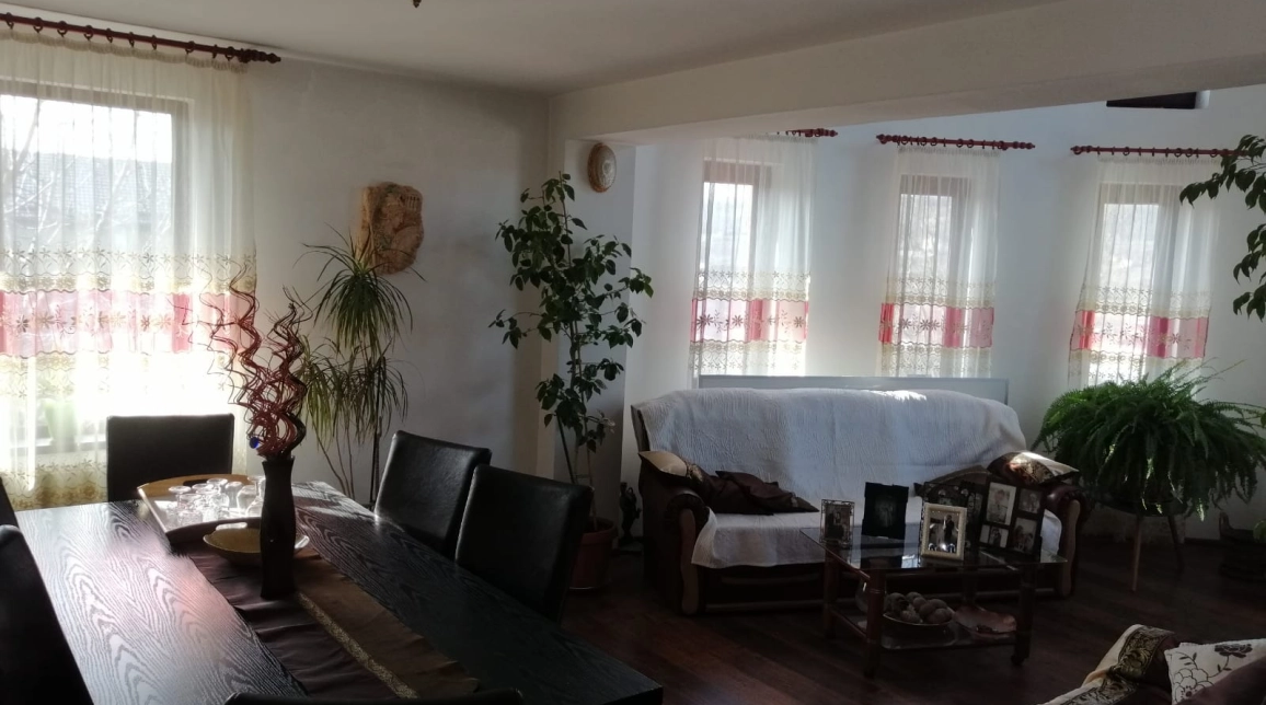 Oferta 5 camere, 280 mp , de vanzare casa in zona Visani,  Visani imagine 11