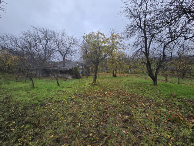Teren  Tomesti Biserica 500mp  160516